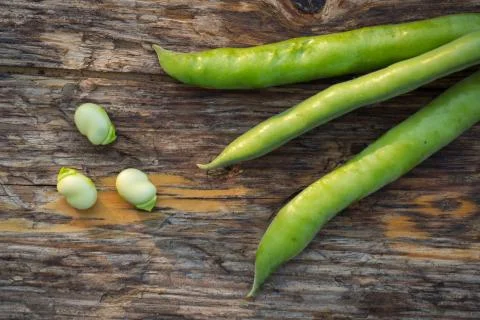 Fava beans Stock Photos