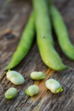 Fava beans Stock Photos