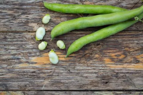 Fava beans Stockfoto's