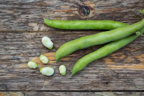 Fava beans Stock Photos