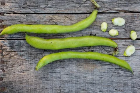 Fava beans Stock Photos