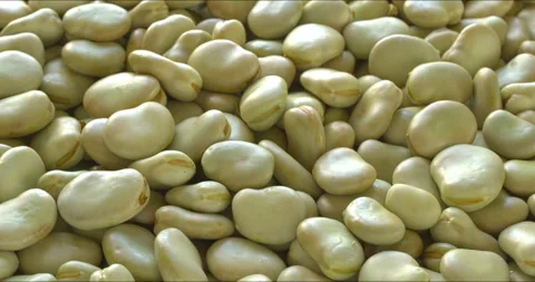Fava beans with a second skin background texture. Stock Footage 314077945