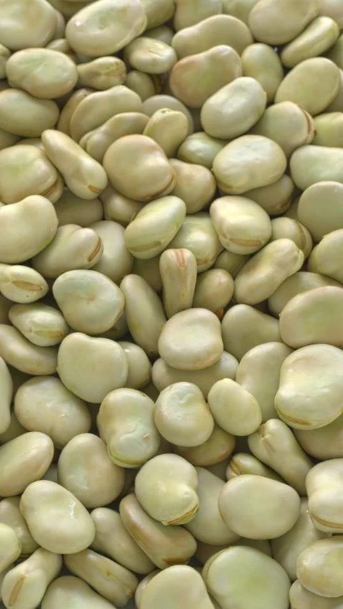 Fava beans with a second skin background texture. Vertical video. Stock Footage 314077964