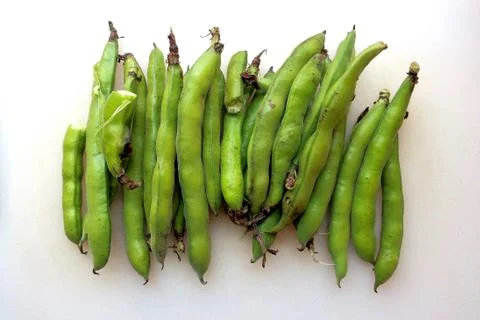 Fava beans on white background Stock Photos