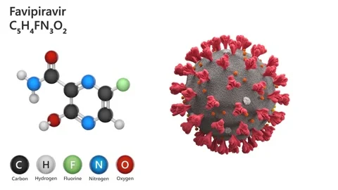 Favipiravir Stock Footage 146524247