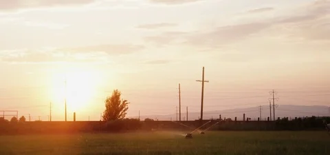 Fawn running in the field while water being sprinkled 動画素材 76275370