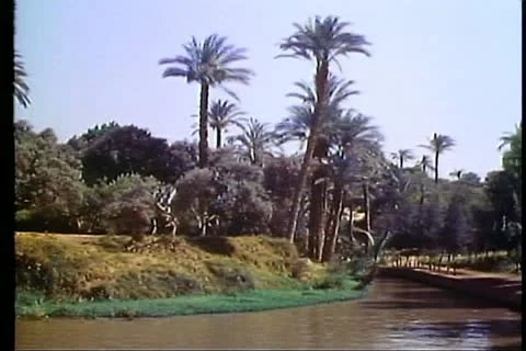 FAYOUM OASIS, EGYPT, 1977, Irrigation canals, palms, medium shot Stock Footage 10738465