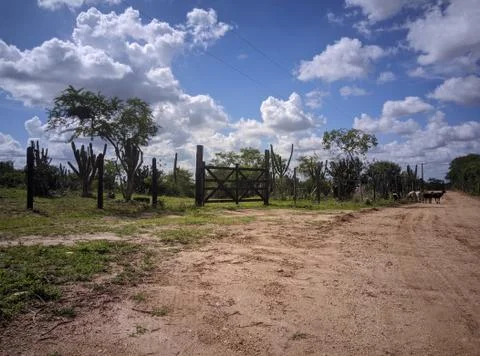 Fazenda 库存照片