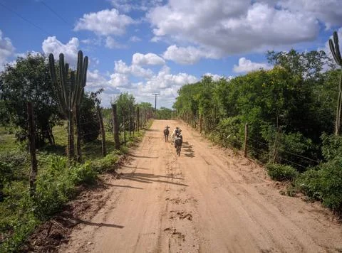 Fazenda 库存照片