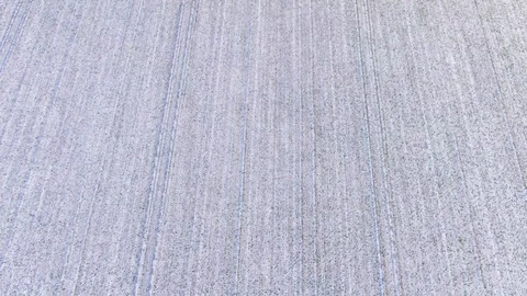 FB Videography - Snow farm Video stock 102290729