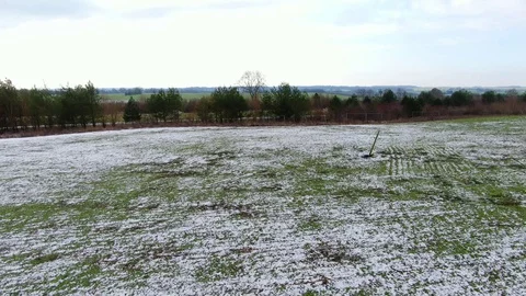 FB Videography - The Tree in the Snow Video stock 102290749