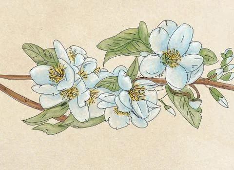 Fblue flowers Stock Illustration