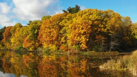 FBrightly colored fall trees reflected in pond Stock Footage 101030241