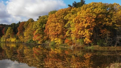 FBrightly colored fall trees reflected in pond Stock Footage 101030351