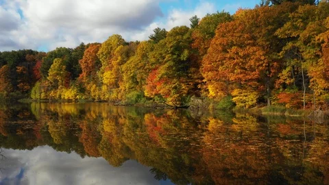 FBrightly colored fall trees reflected in pond Stock Footage 101030366