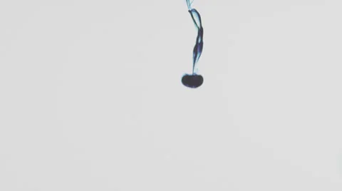 FC Blue Sharp Pond5 Stock Footage 23164127