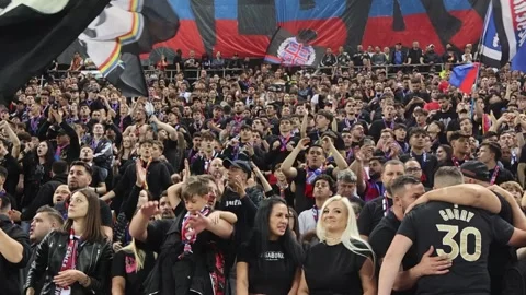 FCSB supporters react during the FCSB vs CFR 1907 Cluj Video stock 275026666