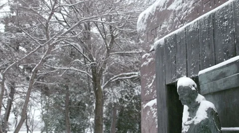 FDR memorial Stock Footage 49849636