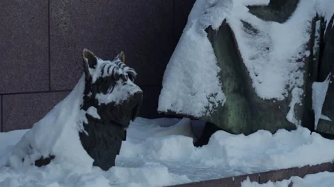 FDR memorial Stock Footage 49851053