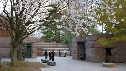 FDR Memorial park in Washington DC with water features, people and cherry trees Stock Footage 305730848