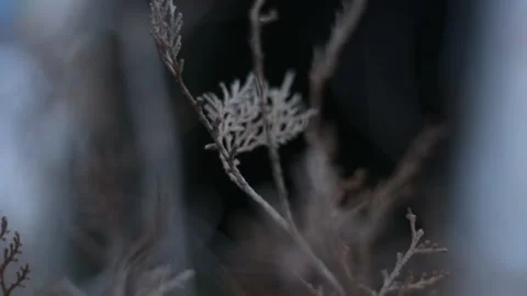 Fear escapes 動画素材 143703135