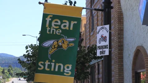 Fear the Sting Stock Footage 42472673