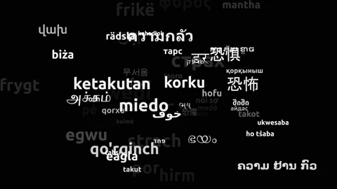 Fear Translated in 74 Worldwide Languages Endless Looping 3d Zooming Wordclou Video stock 145223369