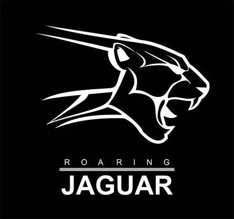 Fearless Panther Stock Illustration