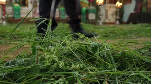 On the feast of the Holy Trinity, the floor in the temple is covered with grass. Stock Footage 278200503