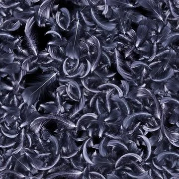 Feather abstract seamless pattern. Nature bird feather texture closeup fallin 写真素材