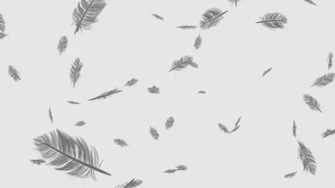 Feather on Alpha Channel Stock Footage 249141035