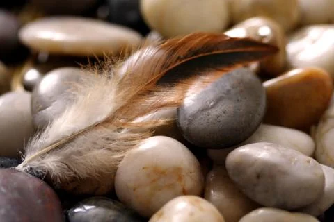 Feather and rocks Stock-Fotos