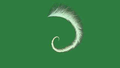 Feather Animated Isolated Green Screen Stock Video Stock Footage 338016781