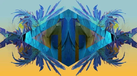 Feather background 動画素材 41036967