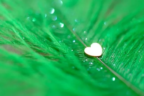 Feather background Stock Photos