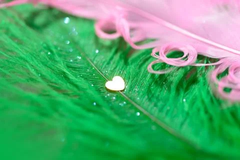 Feather background Stock Photos