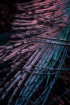 Feather background. Stock Photos