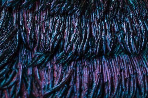Feather background. Stock Photos