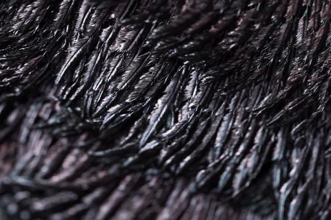 Feather background. Stock Photos