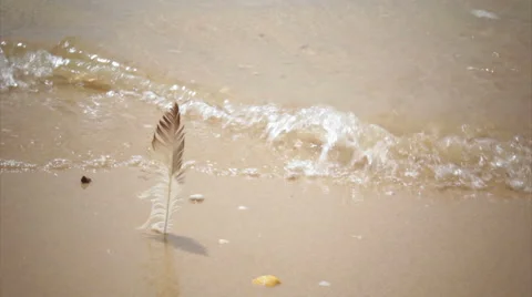 Feather in Beach Sand Whit Low Tide Waves Background (Shot 1) Stock Footage 53674089