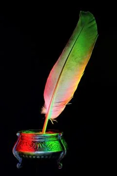 Feather bird color, for writing, close-up, isolated on a black background Stock Photos