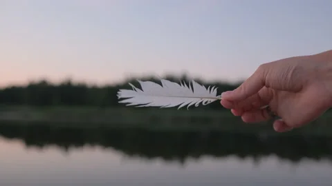 Feather. bird feather. swan feather. feather and lake. advertising video Stock Footage 158067111