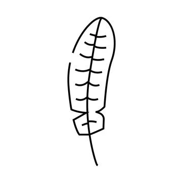 Feather bird line icon vector illustration Stock Illustration