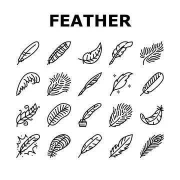 Feather bird soft quil fluffy icons set vector Illustrazione stock