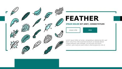 Feather bird soft quil fluffy landing header vector Illustrazione stock
