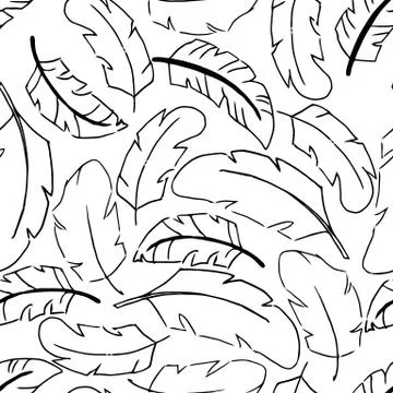 Feather bird vector. Seamless pattern plume. Textile or cloth. Wild textured. Stock Illustration
