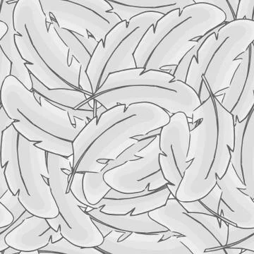 Feather bird vector . Seamless pattern plume. Gray wallpaper. Wild texture. Illustrazione stock