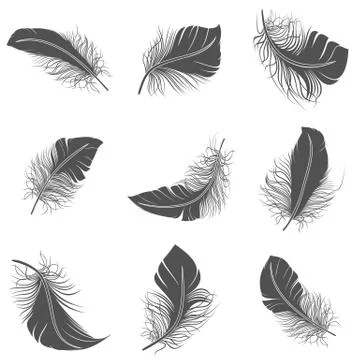 Feather Black Set Stock Illustration