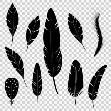 Feather black set Stock Illustration