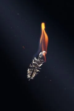 Feather burning in fire Stock Photos